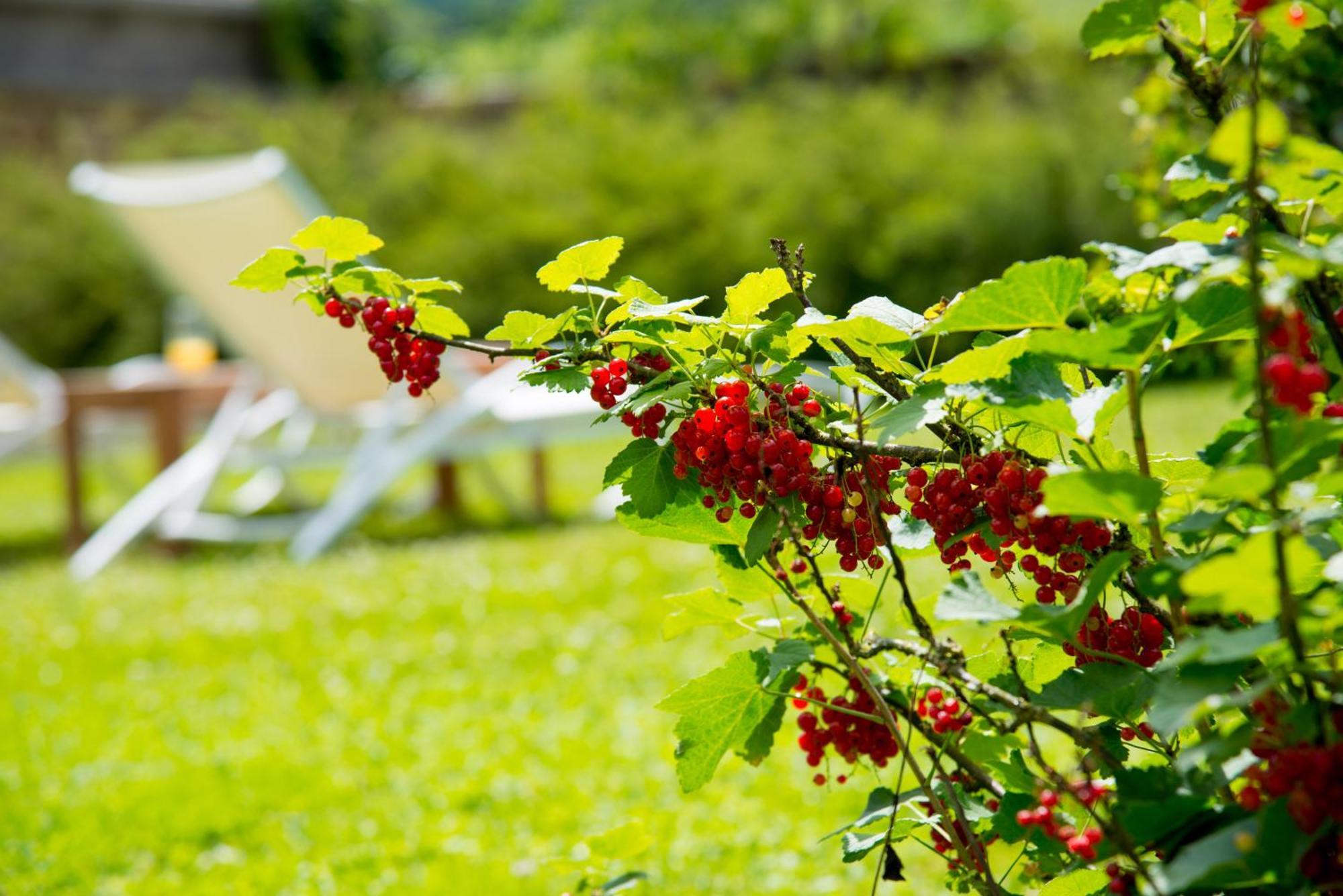 Le Logis D'Aze Bed & Breakfast Luaran gambar